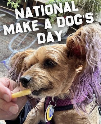 a purple eared puppy named Macy Jane enjoys a French fry on national make a dog's day in October.