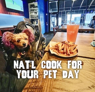 puppy macy Jane sitting at a table with French fries and a beer at a restaurant/bar for national cook for our dog day in November