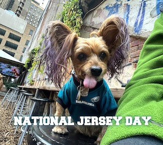puppy Macy Jane wearing her Philadelphia Eagles jersey to show support for the team on National jersey Day