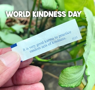 a fortune cookie fortune note that is perfect for world kinds day on November, being held up in front of some green plants