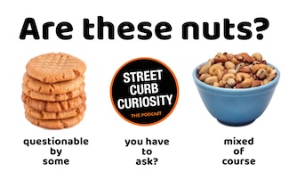 peanut butter cookies and a bowl of nuts..together in a podcast, is this nuts?