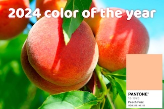 a bunch of peaches in a tree to highlight the Pantone 2024 color of the year, Peach Fuzz, fro the daily blog of www.caremoretoday.com