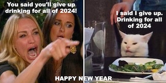 a famous cat meme for a new year resolution in 2024