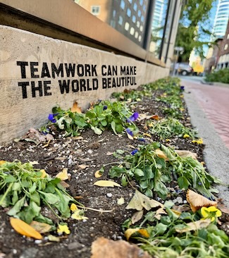 a dried out flower bed to highlight the need for teamwork and accountability
