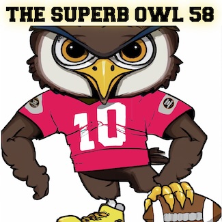 A colorful cartoon owl wearing a football uniform holding a football. A horrible typo in wording overhead to ponder writers problems.