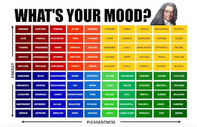 a colorful mood chart with a thought from Voltaire
