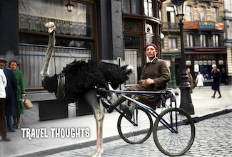 an ostrich being used as transportation in Paris as a thought about traveling