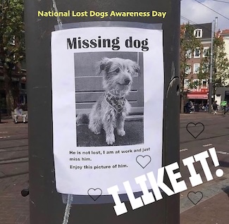 a lost dog poster on a street pole in a small town for national lost dog awareness day on April 23