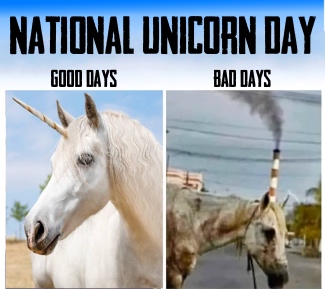 a beautiful white unicorn and a dirty hose trying to be one for national unicorn day in April