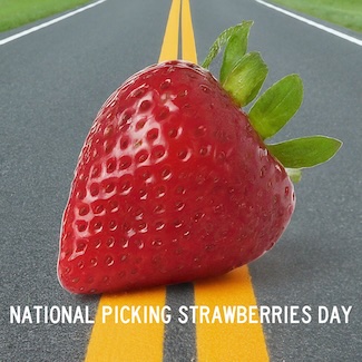 a strawberry in the middle of a two lane road for national pick strawberries day in May