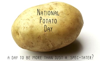 A large uncooked potato for national potato day.