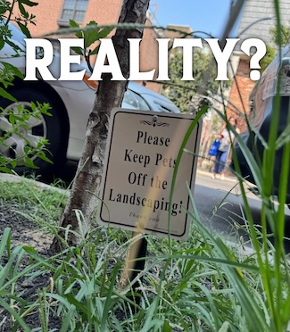 a "please keep pets off the landscaping" sign in think weeds for a thought about reality