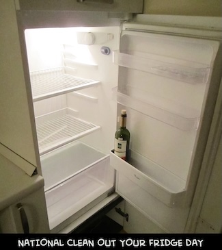 a refrigerator that only has a bottle of wine in it for national clean out your fridge day in November