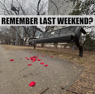 rose petals laying on the ground near a park bench