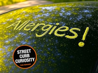 the word allergies written with green pollen on a car windshield for a podcast episode about our Spring and fall suffering