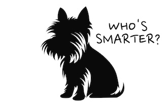 a silhouette of a small dog for a qui about how smart they are on national dog moms day