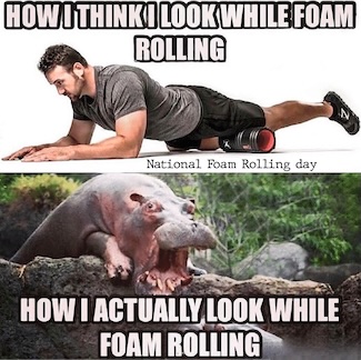 A fun meme about foam rolling involving a man and a hippo