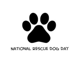 a black and white dog paw silhouette 