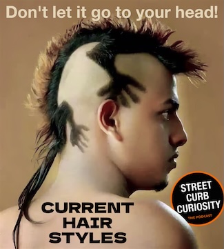 a radical haircut that looks like a monkey on your head, for a podcast episode about current hair styles and color