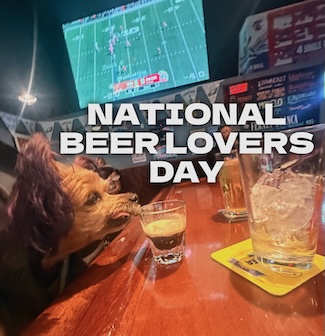 A small dog named Macy Jane about to enjoy a shot glass of Guinness for national beer lovers day in September