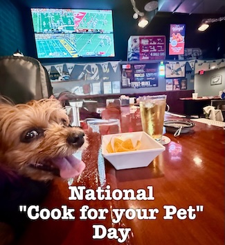 a very happy smiling dog named Macy Jane at a bar with some tortilla chips and a beer for national cook for your pet day in November