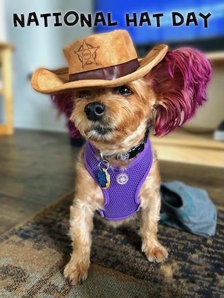a stylish puppy wearing a cowboy hat noir national hat day in January