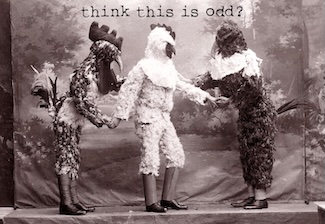 3 people in very odd chicken costumes