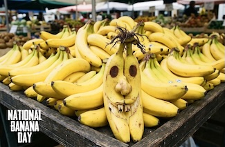 a fruit stand table filled with ripe bananas, including one very unappealing looking one at the front of the table for national banana day