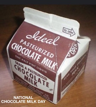 a boomer era school relic: A pint sized paper pint sized chocolate milk carton.