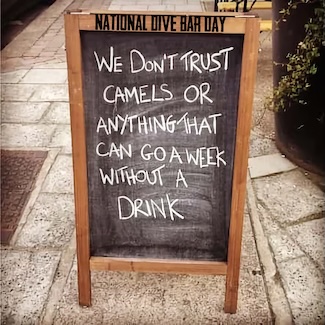a fun and funny drinking bar sign on a sidewalk outside a city bar for national dive bar day