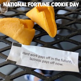a fun, wise and funny bit of wisdom from a fortune cookie