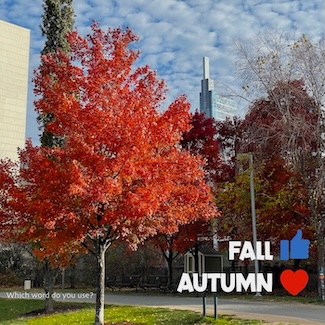 a fiery red tree on the first day of Autumn or Fall in Philadelphia. Plus two emoji to show which word you prefer to use.