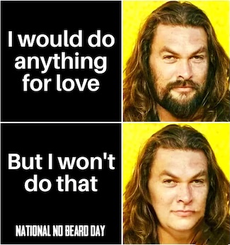 a fun well known meme for the reason to have or not have a beard for national no beard day